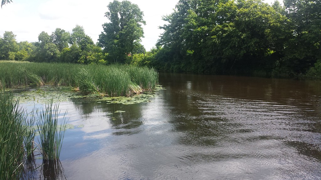 Little Muskegon River Little Muskegon River in Morley, Mic… Flickr