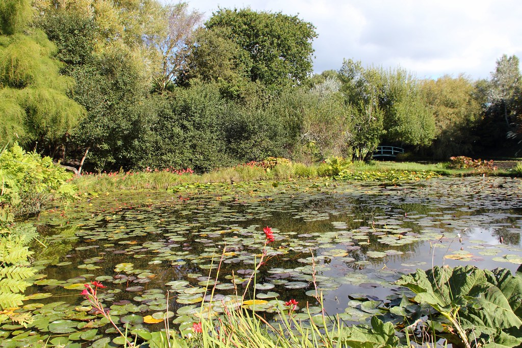 Water Gardens Dorset Mrs Airwolfhound Flickr