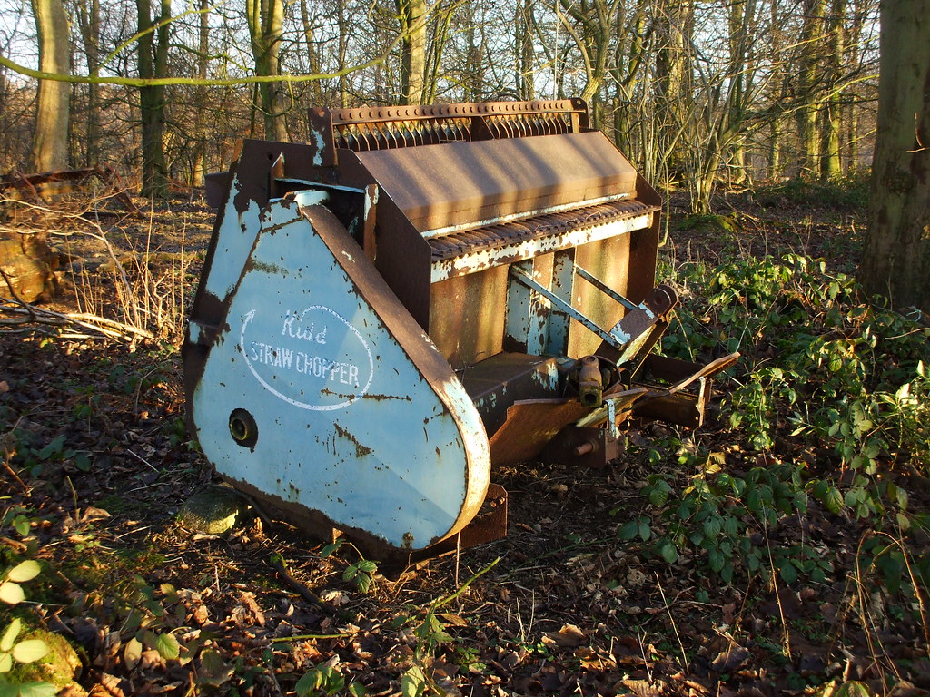 Left in the Woods A Kidd Straw Chopper. I think this one d… Flickr
