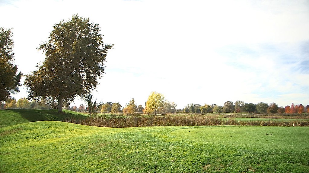 Ione Parks and Building60 Deborah Mackey Flickr