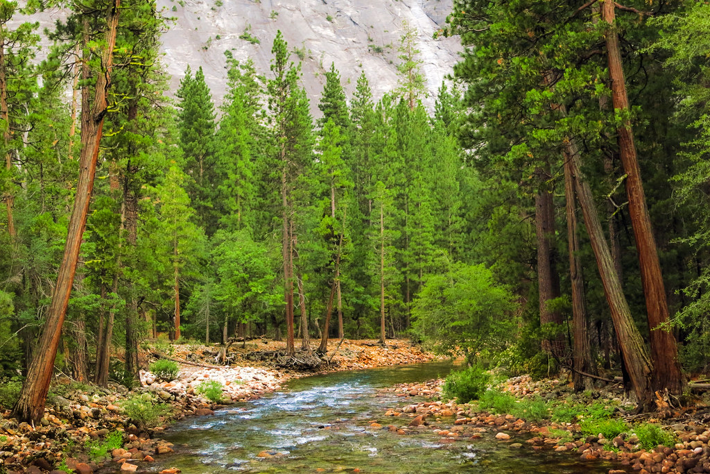 NYT, Day 8 Pate Valley, Yosemite National Park Starting o… Flickr