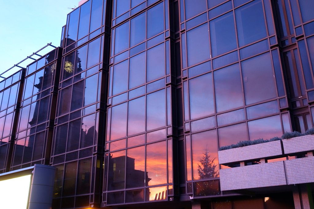 Christmas Trees Portsmouth Ri at Robert Clay blog