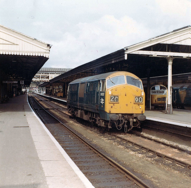 Bargain Bucket Find Flickr