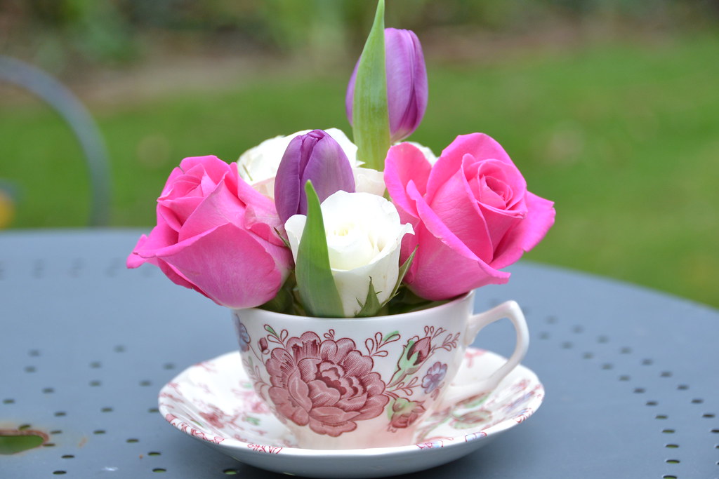 Flowers in a Cup Hi guys, If you would like to use any pic… Flickr