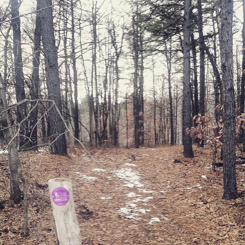 New Purple Trail Flickr