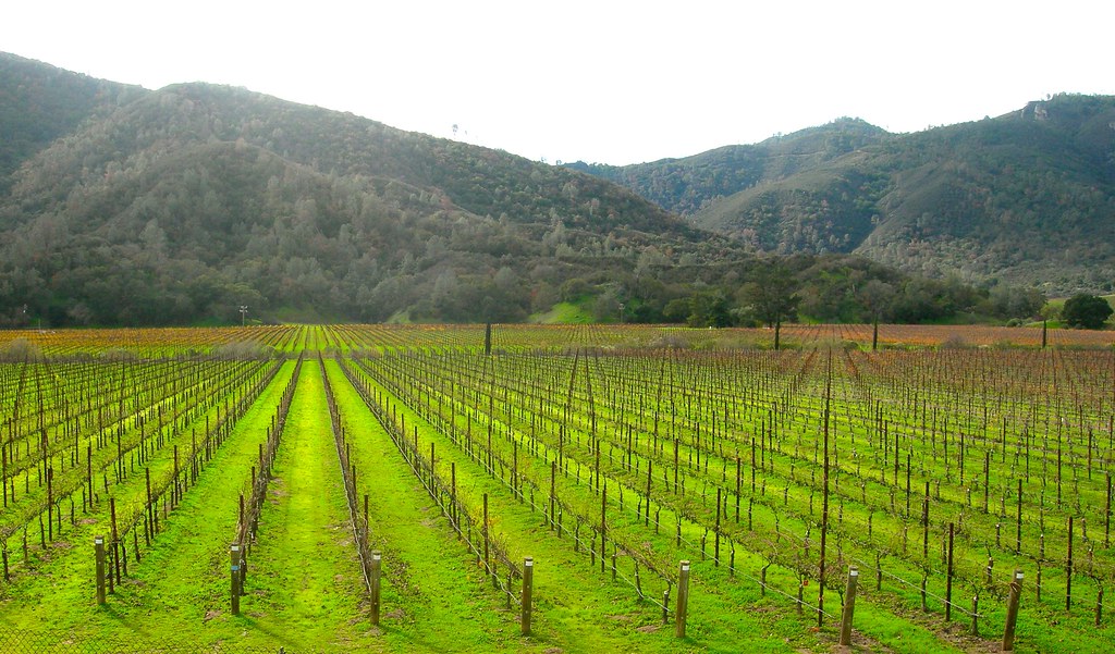 Cienega Valley Appelation Vineyard Hollister, California P… Flickr
