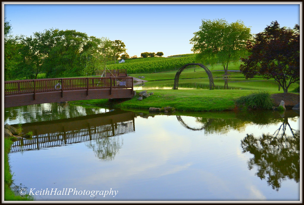 Shelton Vineyards, Dobson North Carolina This is a photo s… Flickr