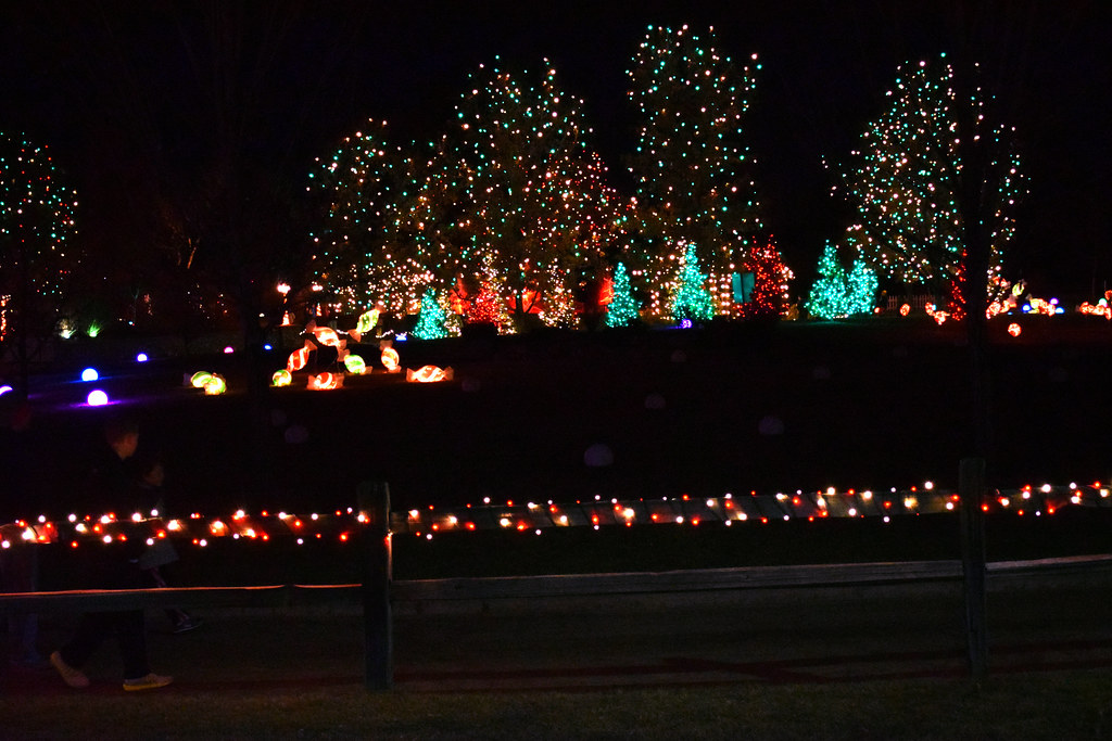 aDSC_0105 Christmas Lights at Hudson Gardens. C. Michael Perkins