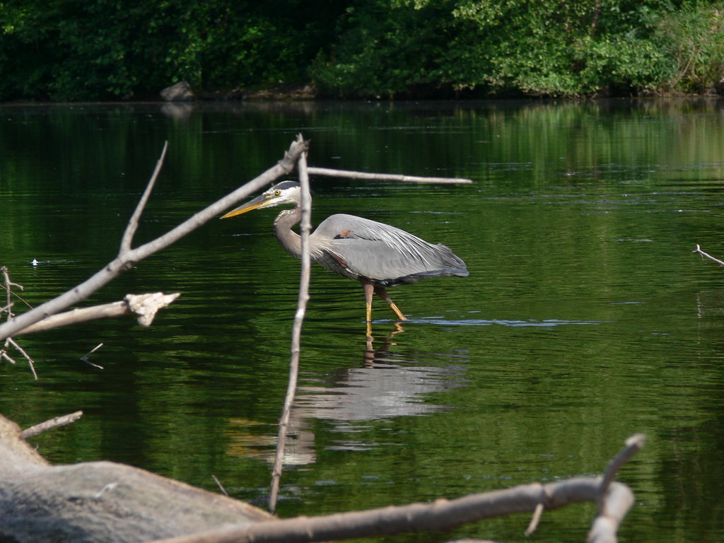 Pompton Lake 62214 005 Kayak East Flickr
