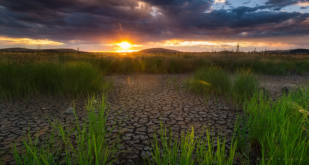 Lake Learmonth A quick visit to this local lake to discove… Flickr