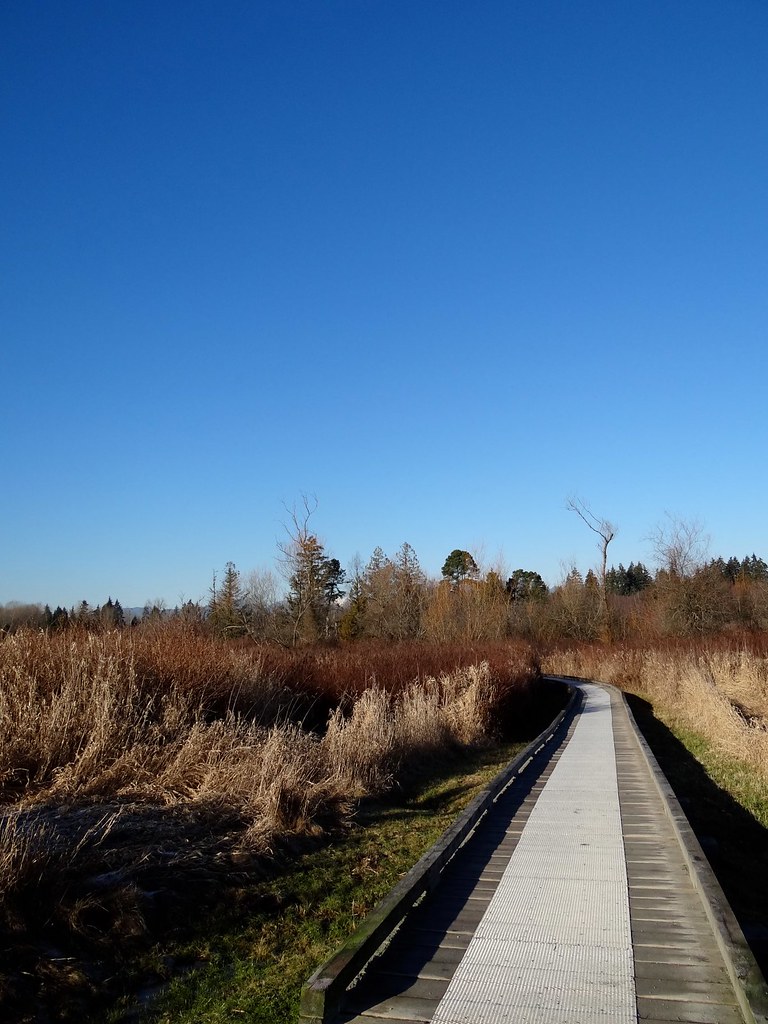 Deer Lake and Frost 9 Deer Lake and Frost. Alex Hurst Flickr
