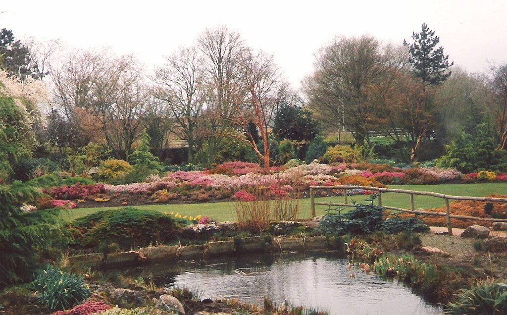 Leicester. March 23rd. 1994 Knighton Park. 5 Cynthia Hilsden Flickr