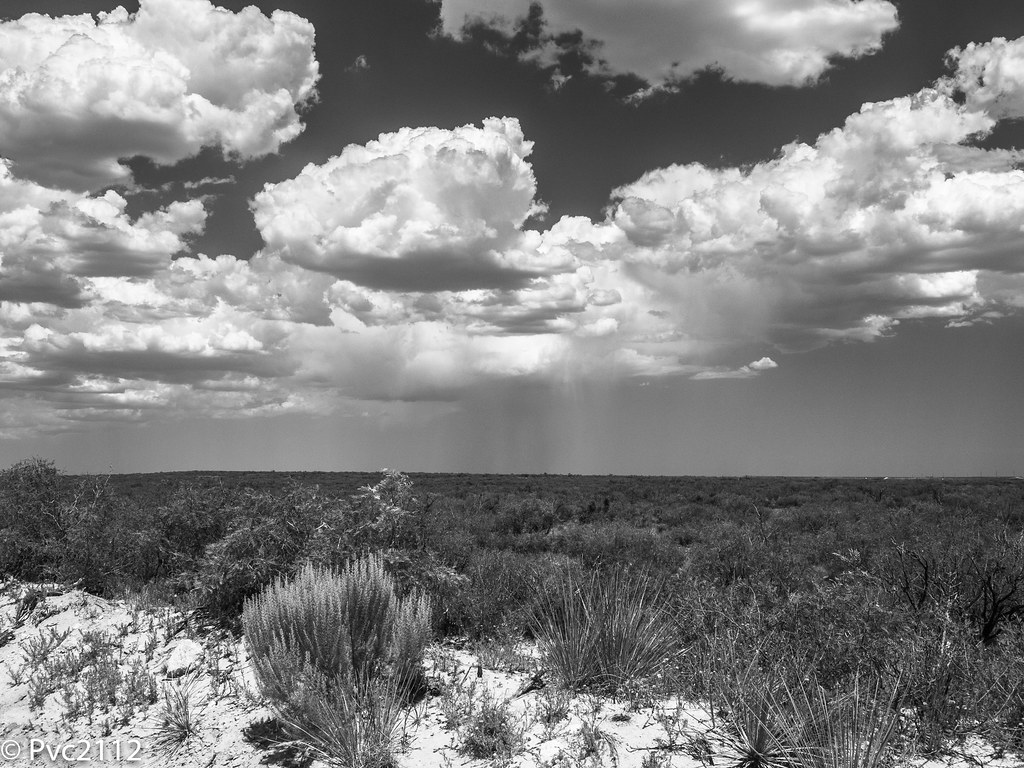 New Mexico desert Took this photo of the beginning of a st… Flickr