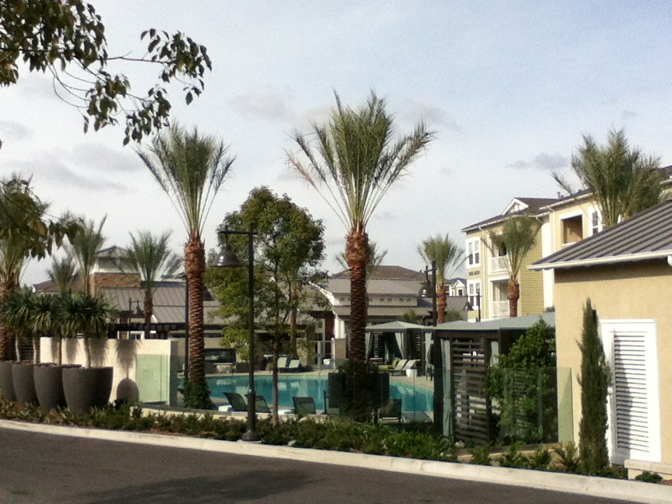 Arroyo at Baker Ranch Lake Forest, CA, November 13, 2014. Flickr