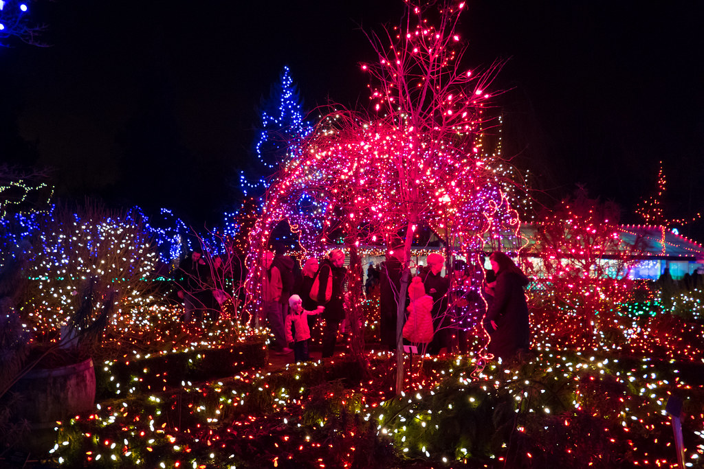 Van Dusen Christmas Lights1220157 Christmas at VanDusen B… Flickr
