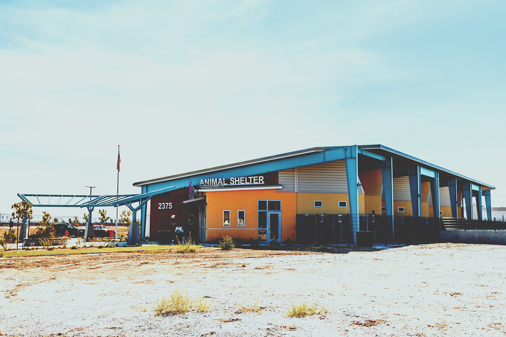 Tracy Animal Shelter 2015 Flickr