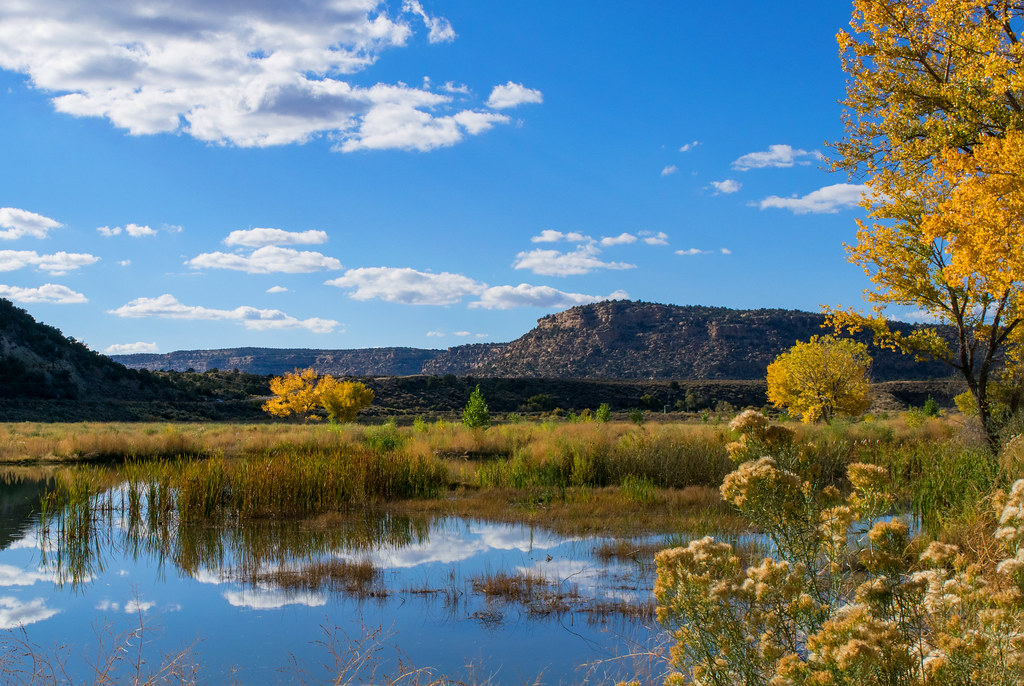 October in New Mexico Navajo Dam State Park 111 It's a Be… Flickr