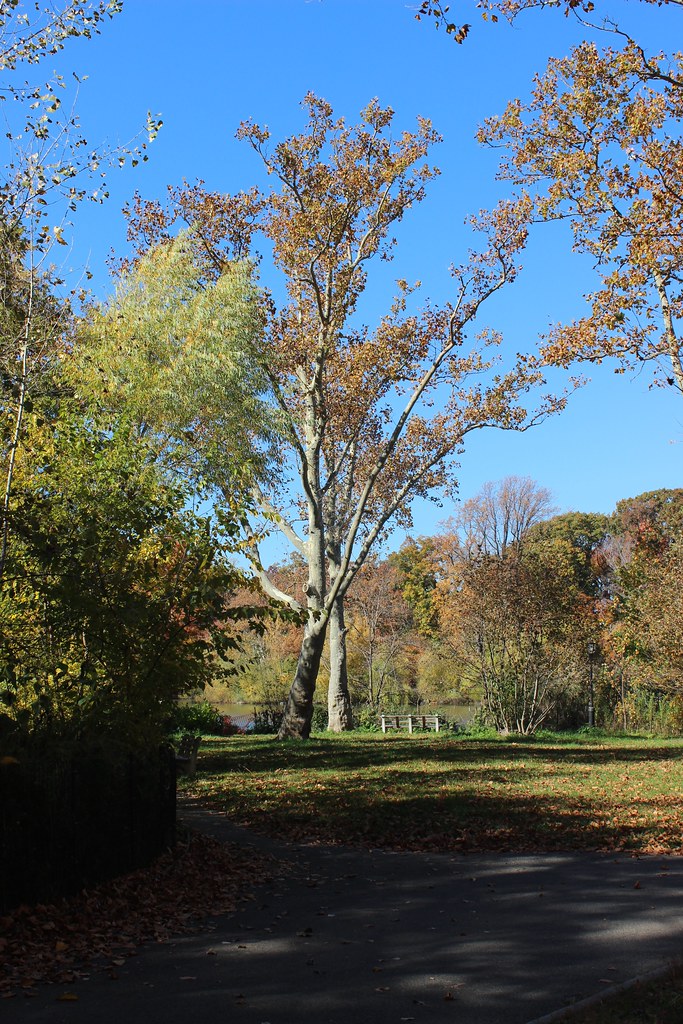 Kissena Park Kissena Park (1907) Kissena Blvd. and Rose Av… Flickr