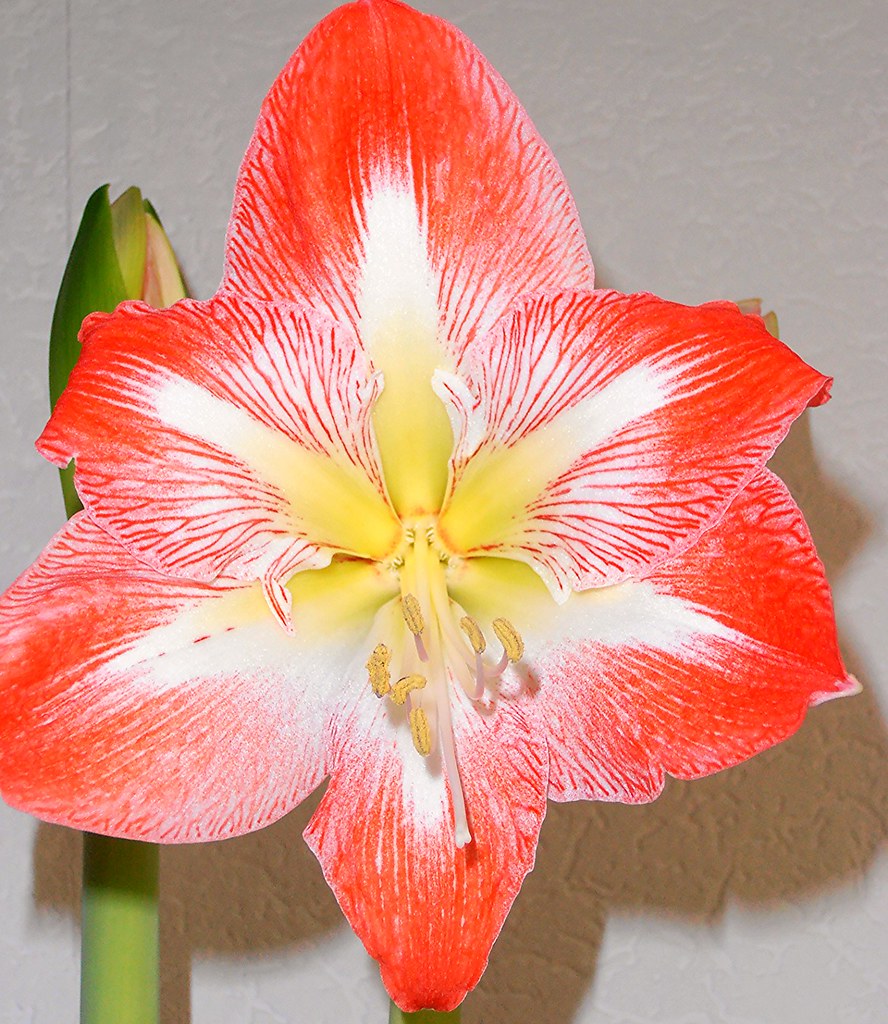 Faszination Nature Dieter Linsky Flickr