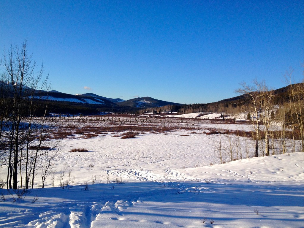 West Bragg Creek Cross Country Ski The large Moose Loop … Flickr