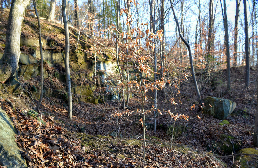 Grindstone quarry site I came across this place as I was a… Flickr