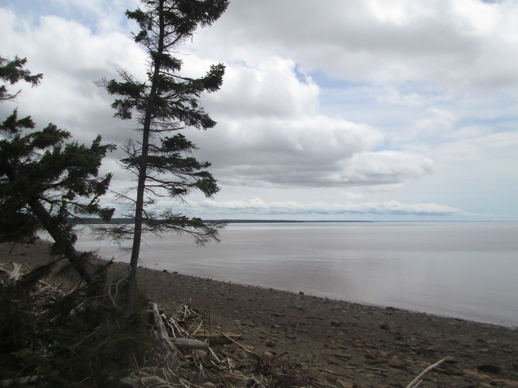 Dorchester Cape, NB June 5, 2016 Larry Flickr