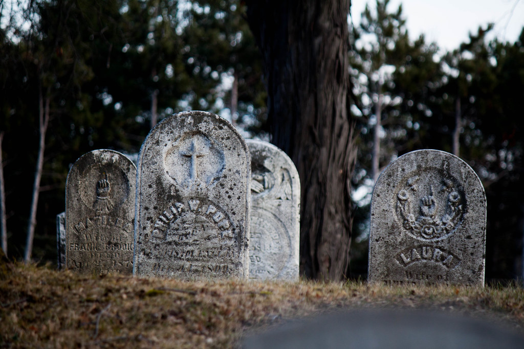 Elevation of Ovid, MI, USA Topographic Map Altitude Map