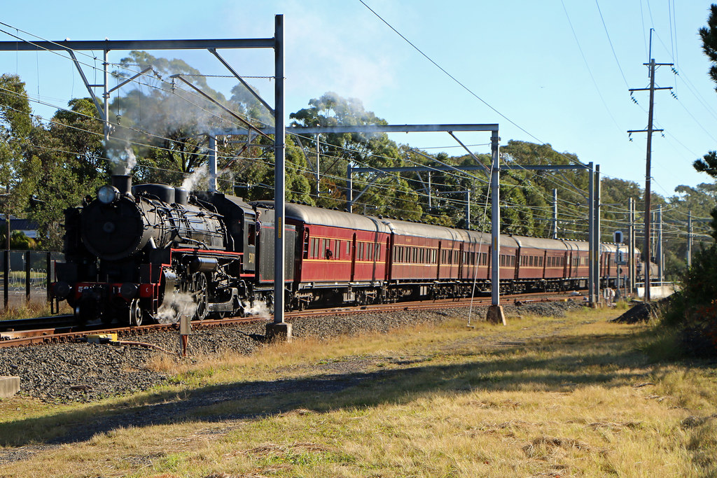 5917 8S03 Loftus Thomas Flickr