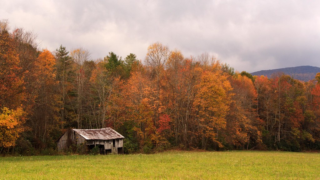 Shady Valley Joshua Rhea Flickr
