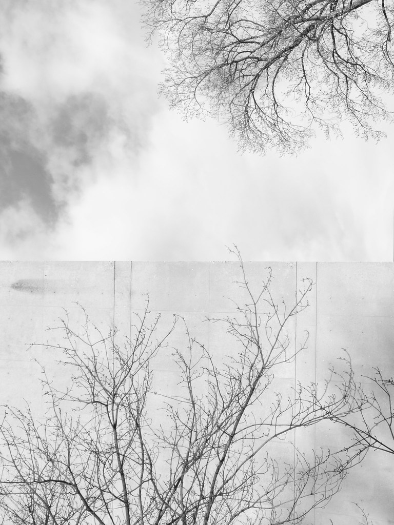 The Urban Landscape. Quincy St., Cambridge, Ma. 12/13/14 Diego