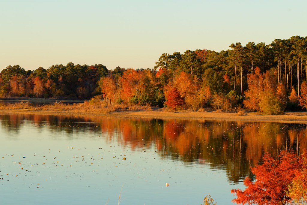 20141127 Lake Sunset 07 Lake Sam Rayburn in Broaddus, TX… Flickr
