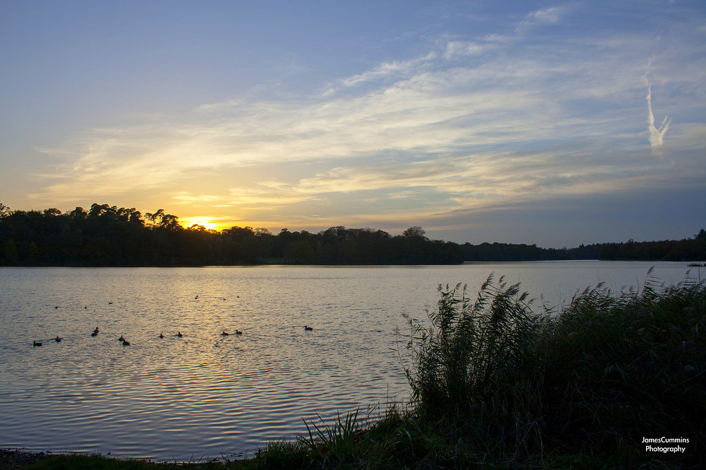 Virginia Water Lake Captured at Virginia Water Lake in Sur… Flickr
