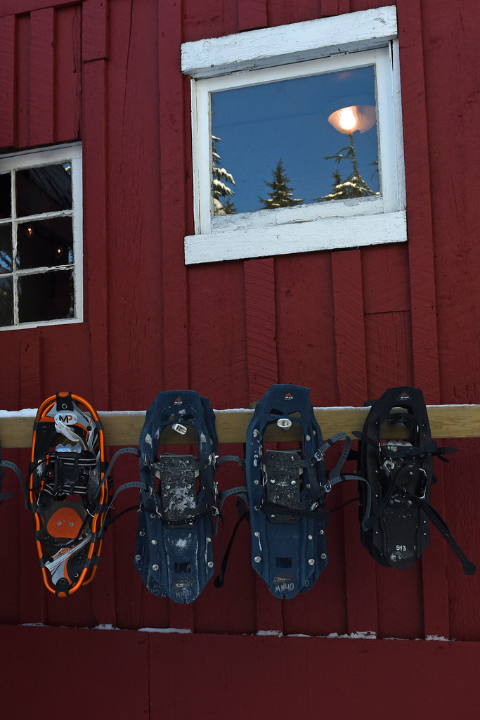 snowshoeing cypress Fanny Burgess Flickr