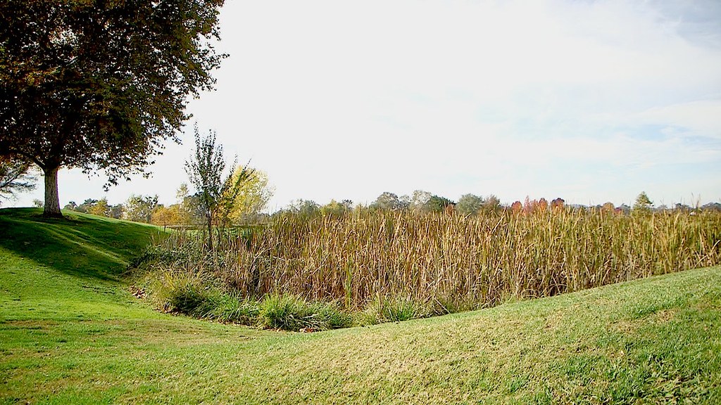 Ione Parks and Building58 Deborah Mackey Flickr