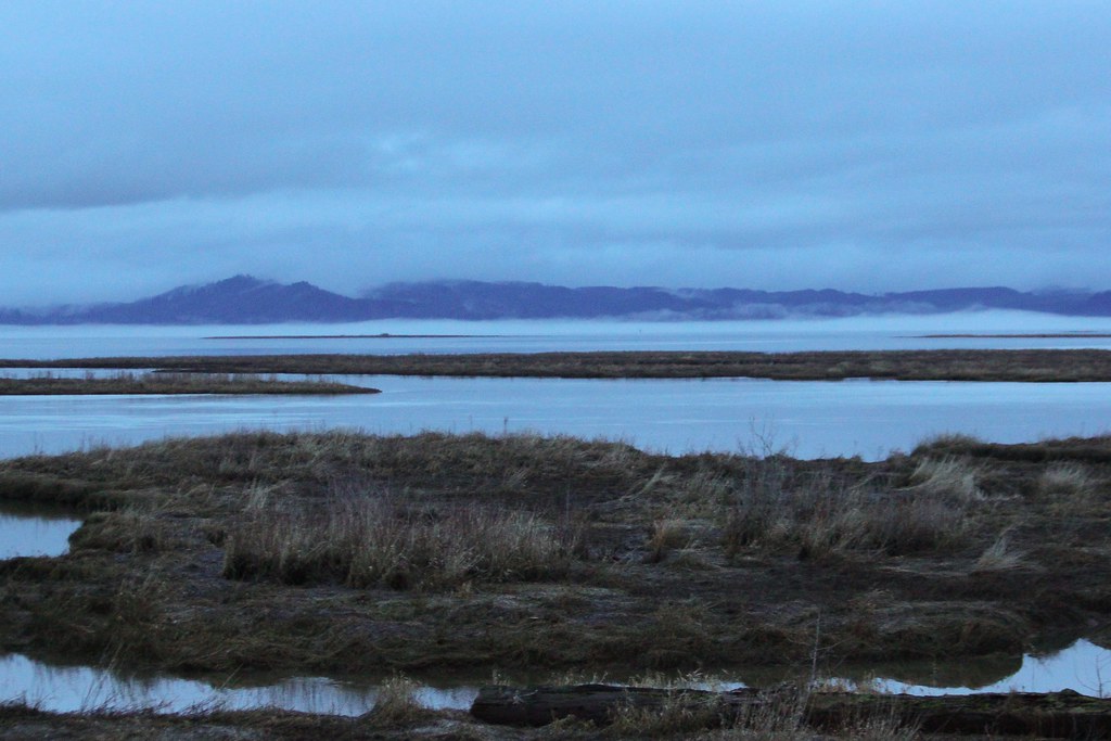 01.05.15 "Eagle Sanctuary" lookout near Astoria, Oregon. C… Flickr