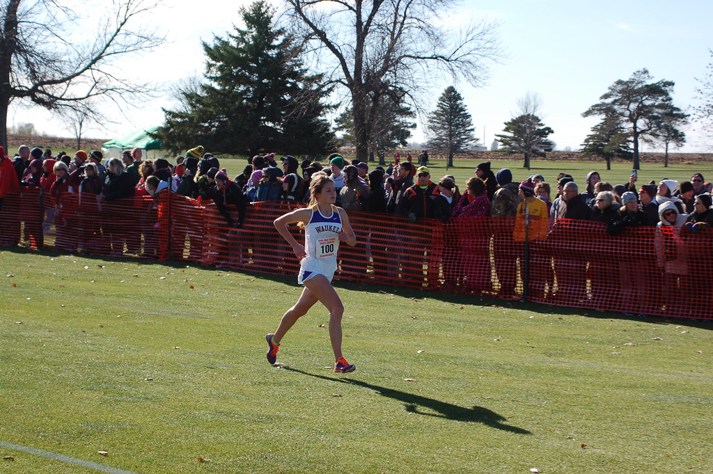 State XC meet 2014 Team 7th overall iowagriz Flickr