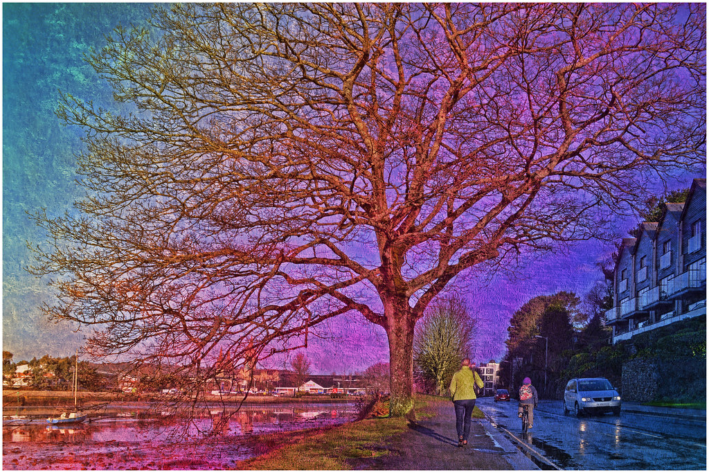 2/100x The Road Ahead This is the Malpas Road in Truro. I … Flickr