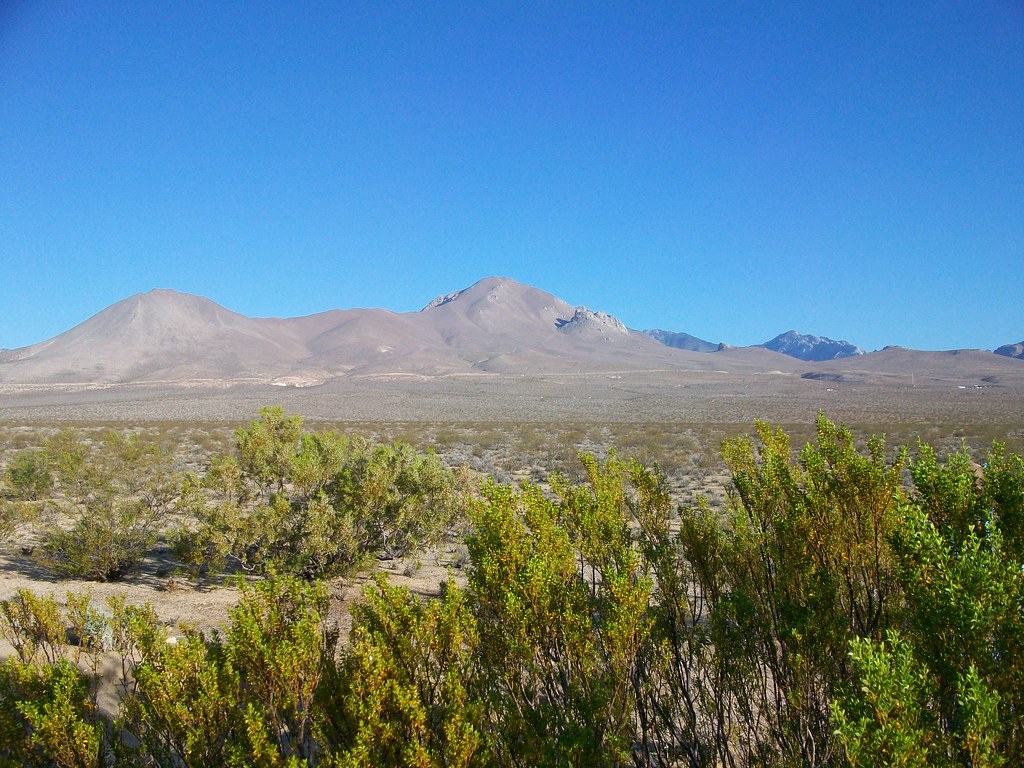 Inyokern California Desert Scene, California Birding, Phot… Flickr