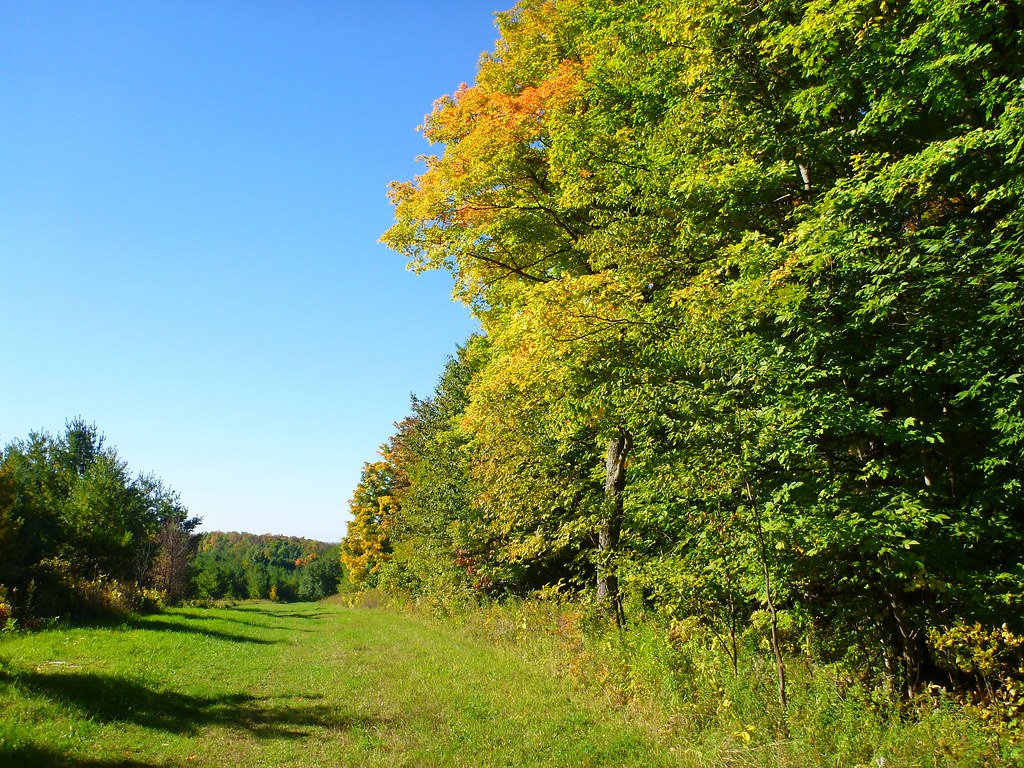 trail near Simcoe County Highpoint near Duntroon, Ontario Flickr