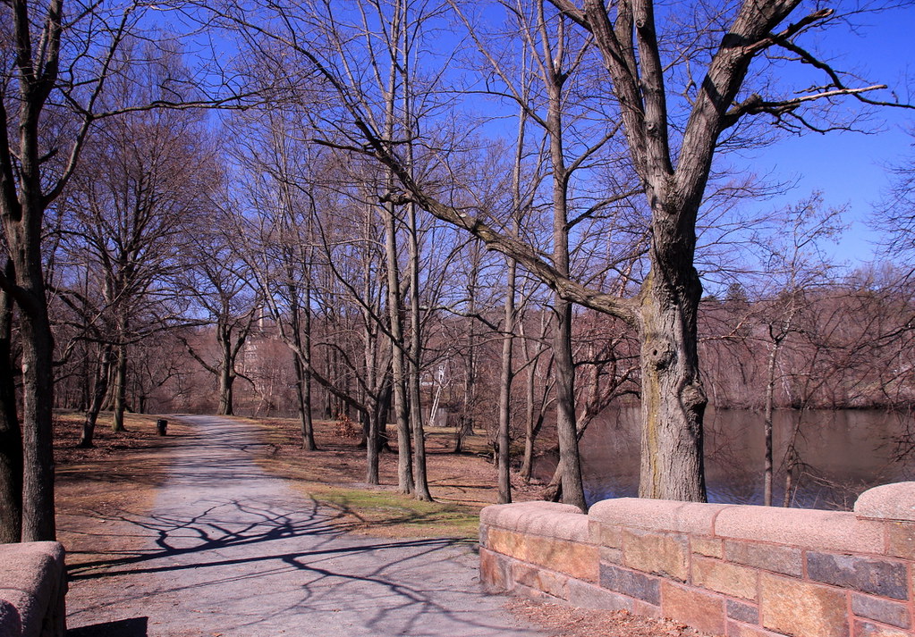 Omstead Park/Leverett Pond, Jamaica Plain, MA, April 18, 2… Flickr