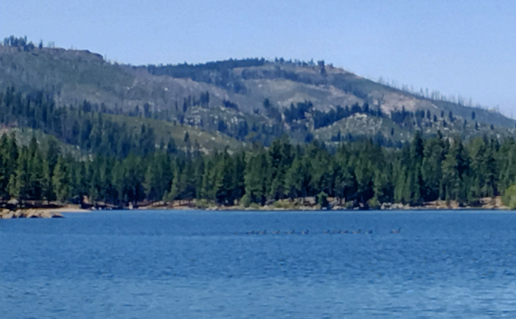 Antelope Lake near Janesville, CA. Donald Novak Flickr