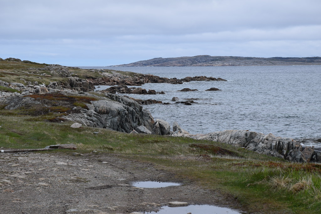 Olives Cove Newfoundland Olives Cove Newfoundland Flickr