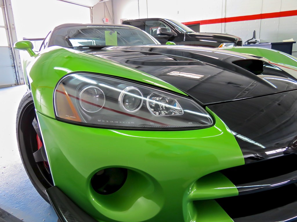 Snakeskin Green Viper ACR Bill Bader Flickr