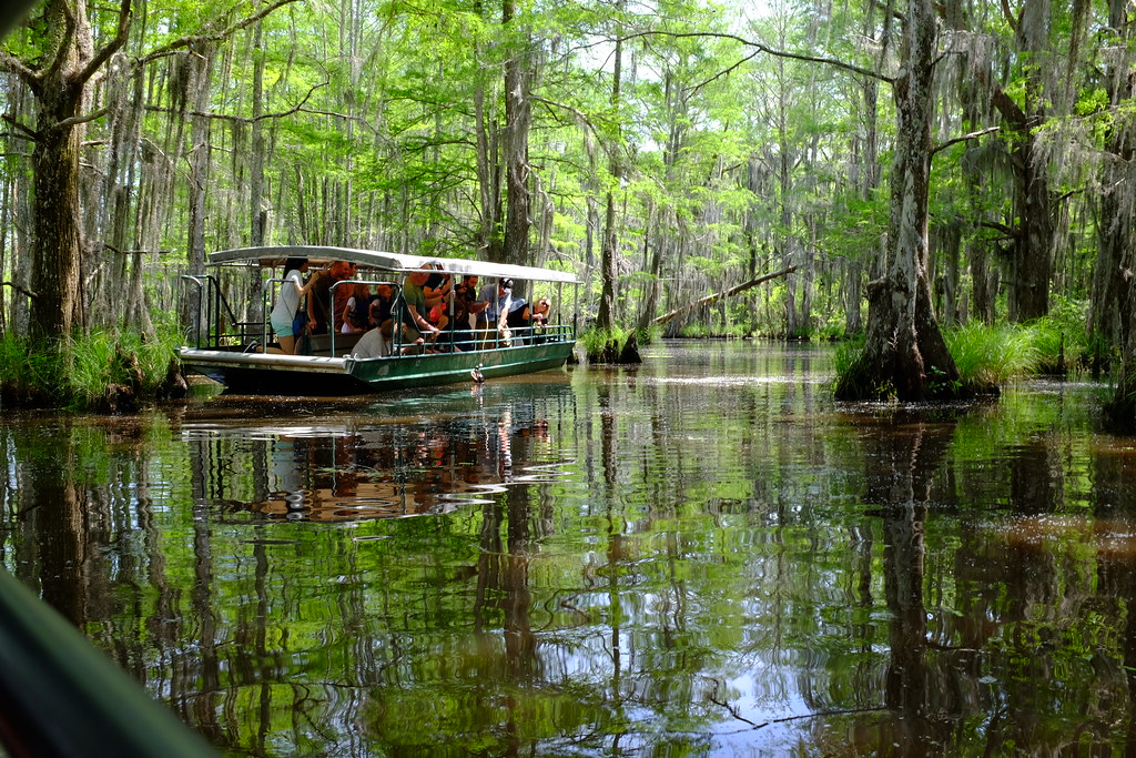 Honey Island Swamp Tour leighklotz Flickr