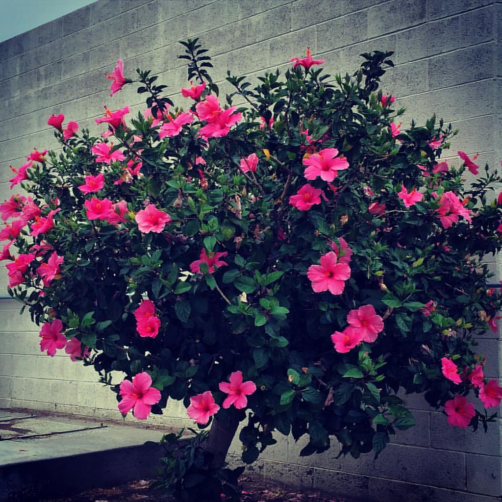 WhereIsTheSun IneedMySummer Nuria Menjivar Flickr