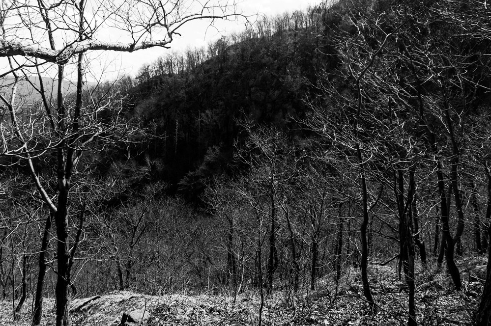 Fishkill Hike (19 of 21) raddie99 Flickr