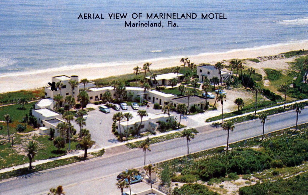 Marineland Motel Marineland FL a photo on Flickriver
