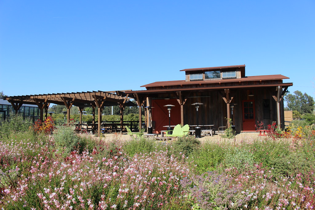 Apricot Lane Farm Ms Marissa Lynn Flickr