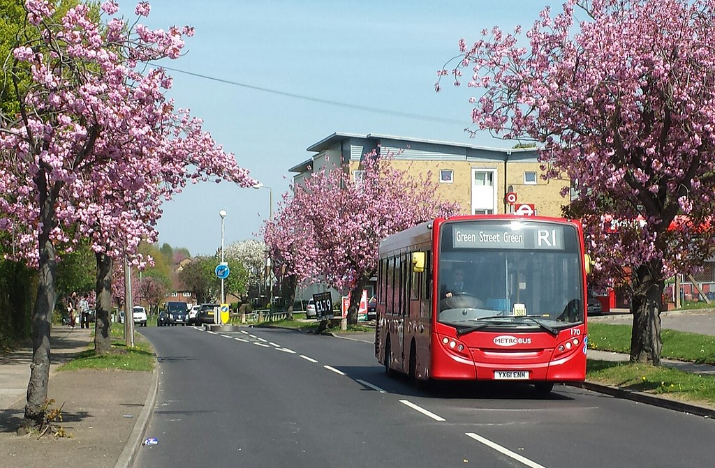 Chipperfield Road flanked by Cherry Blossom, 20th April 20… Flickr
