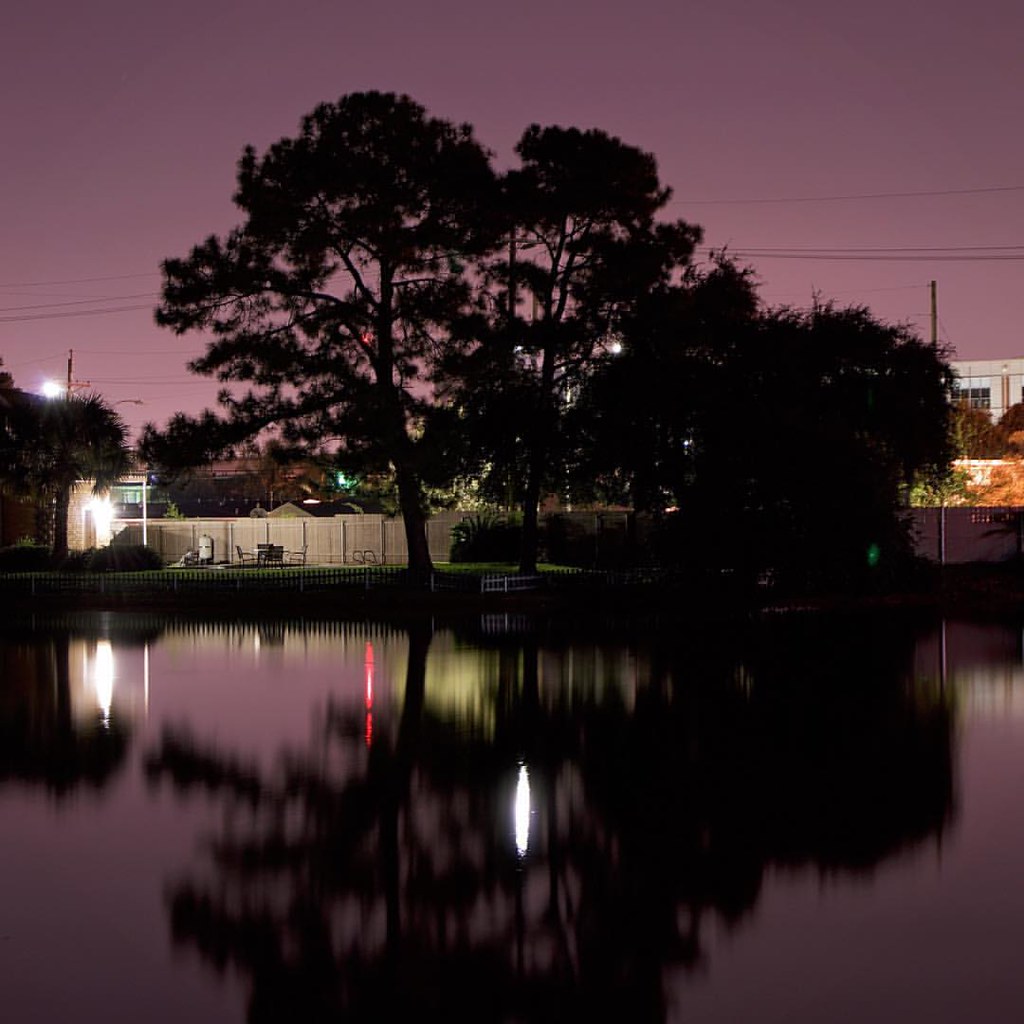 Wisner Blvd, City Park, New Orleans, LA Ryan Kirk Flickr
